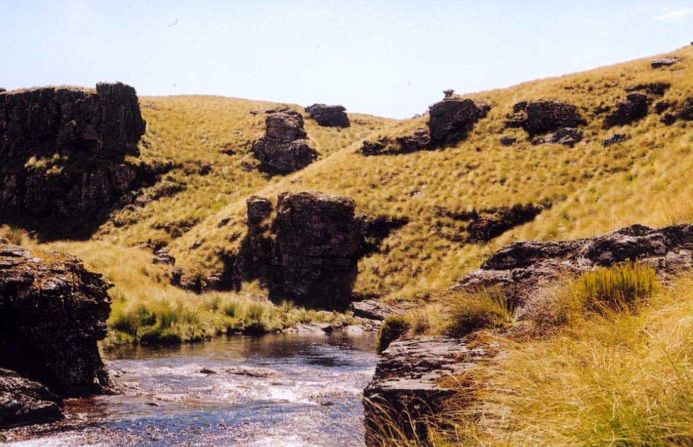 clean stream in NZ