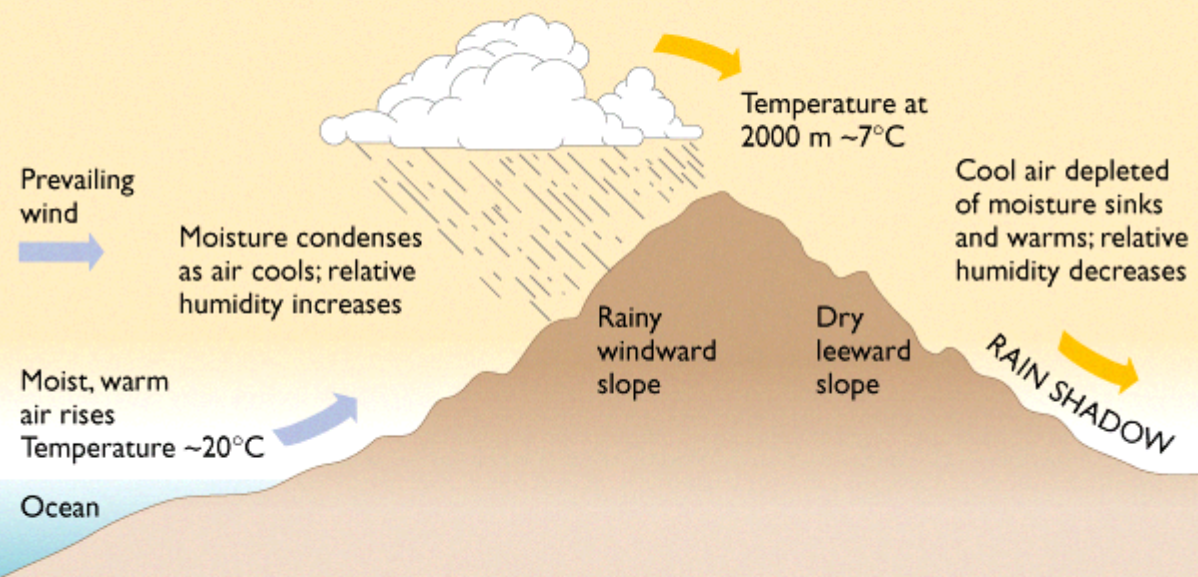 Biosphere, Atmosphere and Hydrosphere Types of rainfall