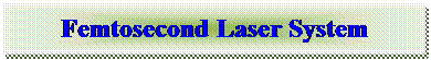 Text Box: Femtosecond Laser System