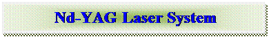 Text Box: Nd-YAG Laser System